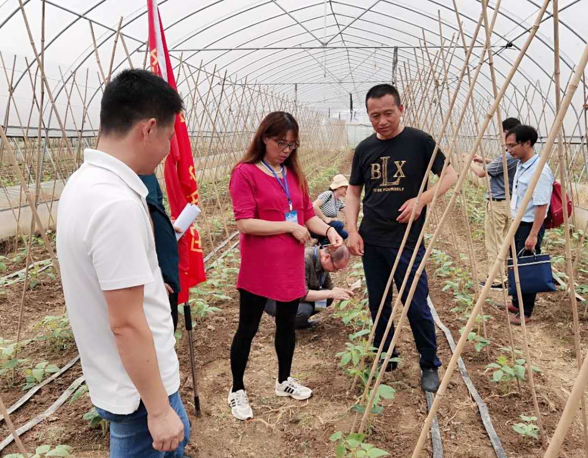 江西：科技助力灾后农业恢复生产