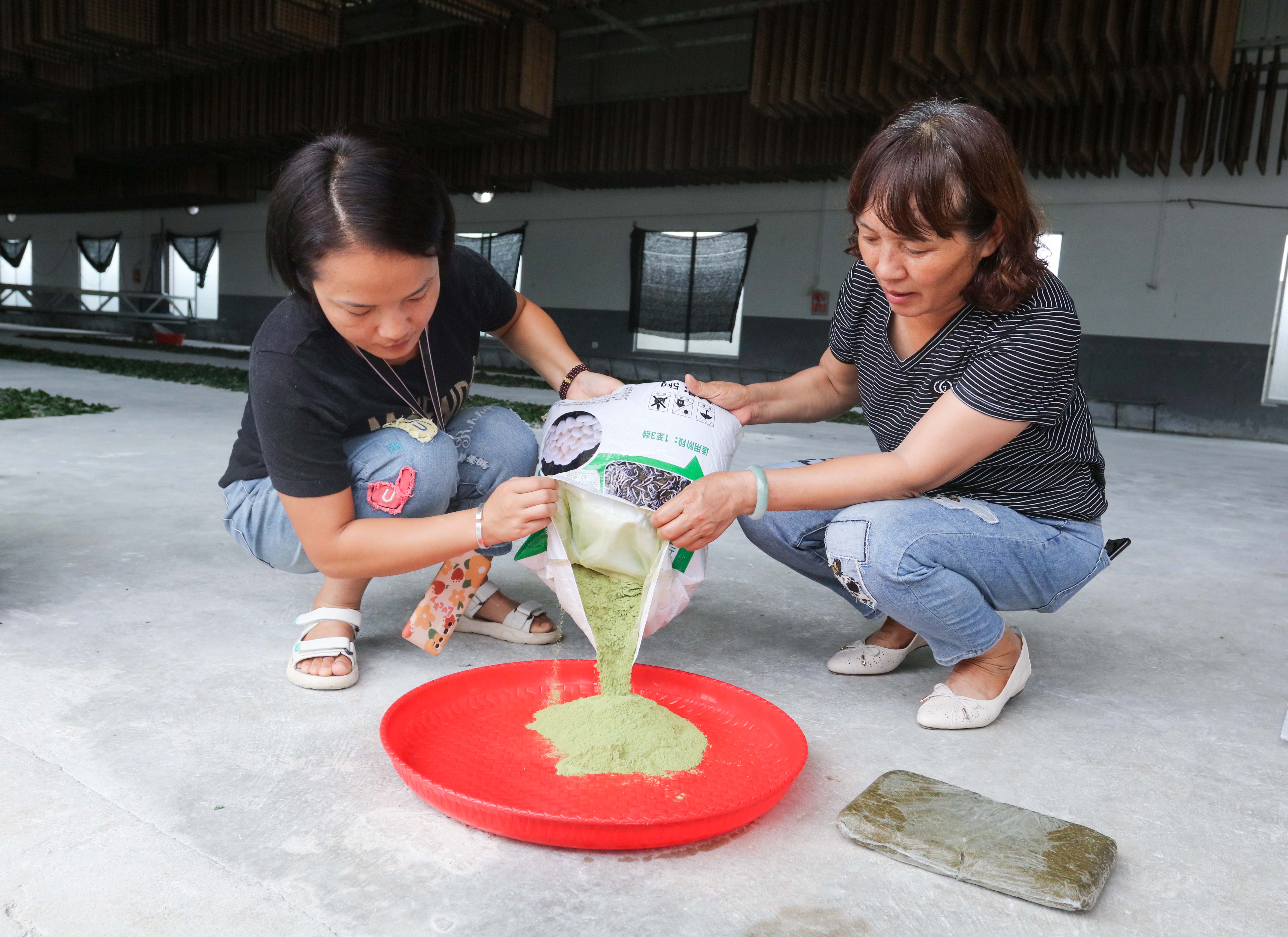 养蚕不用桑叶 育蚕全程自动 他们是桑蚕产业扶贫的好帮手