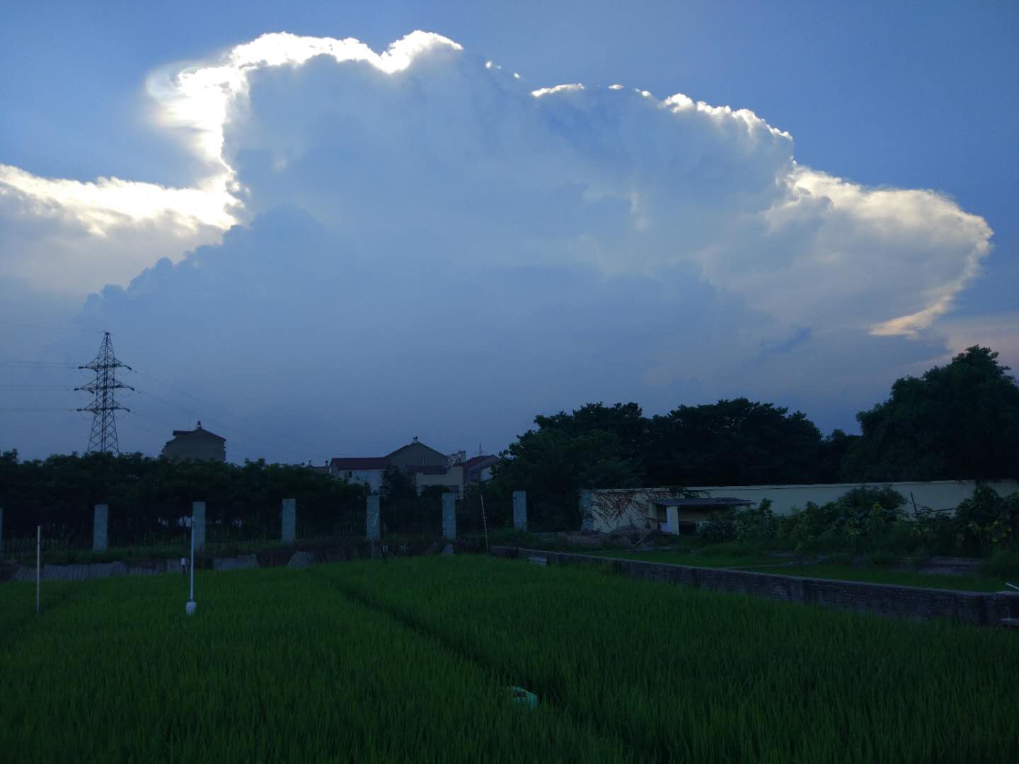 “立秋”频现“跑暴雨”，就是“顺秋”？