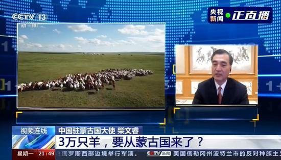 蒙古国送的3万只羊会变成羊肉 羊群坐车来中国