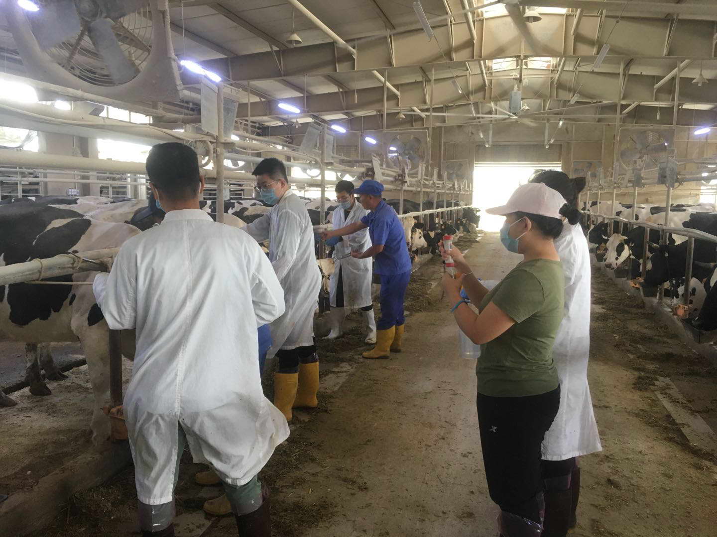 培养新农科人才，把课堂搬到养殖场