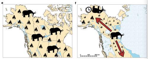 古基因分析显示：乳齿象曾北迁“避暑”