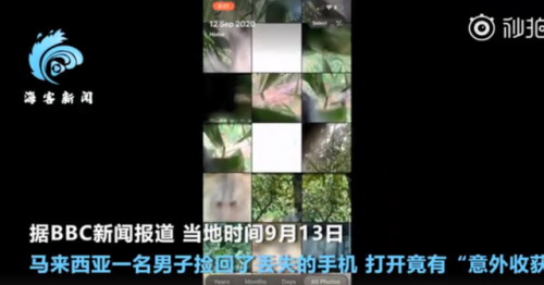 猴子偷手机后疯狂自拍怎么回事？画面详情曝光网友惊呆了