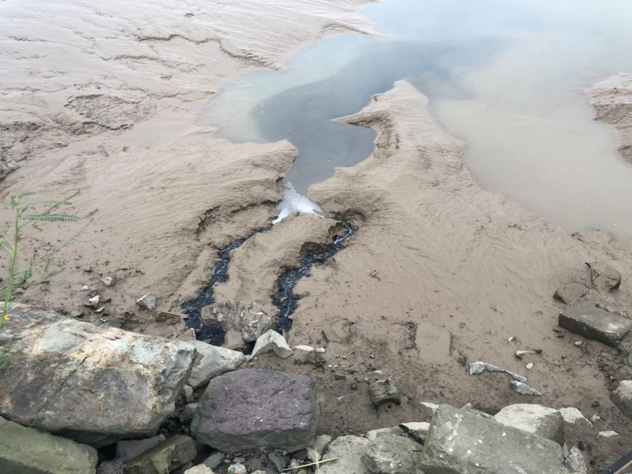 部分指标超标近千倍，浙江台州市椒江近岸海域污染严重