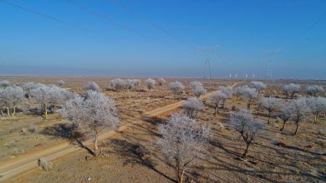 新疆750千伏电网正式投运覆盖地域130余万平方公里