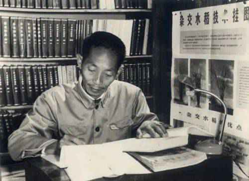 相识1个月闪婚，却独宠她57年：90岁的袁隆平，也太酷了！