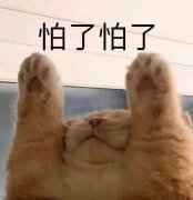 25件名创优品隐藏好物,最低只要9.9!
