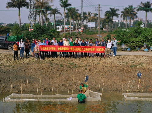 全国网媒总编齐聚九江：“佛山市南海区九江鱼花产业园”未来可期