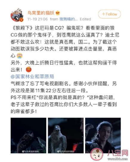 狼殿下苍鹰是真鹰还是CG制作 苍鹰是国家二级保护动物吗