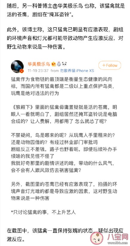 狼殿下苍鹰是真鹰还是CG制作 苍鹰是国家二级保护动物吗