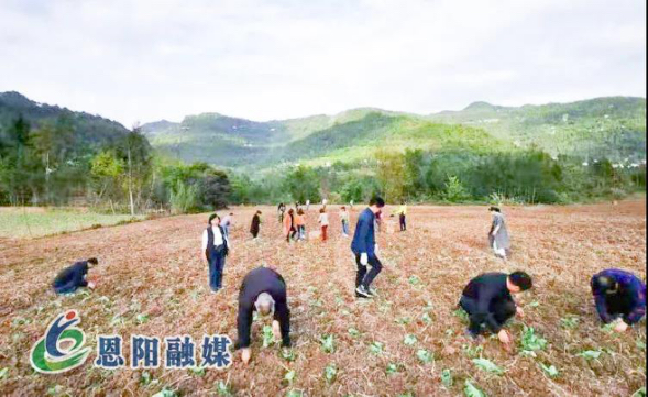 四川巴中：农业园区化引领乡村振兴