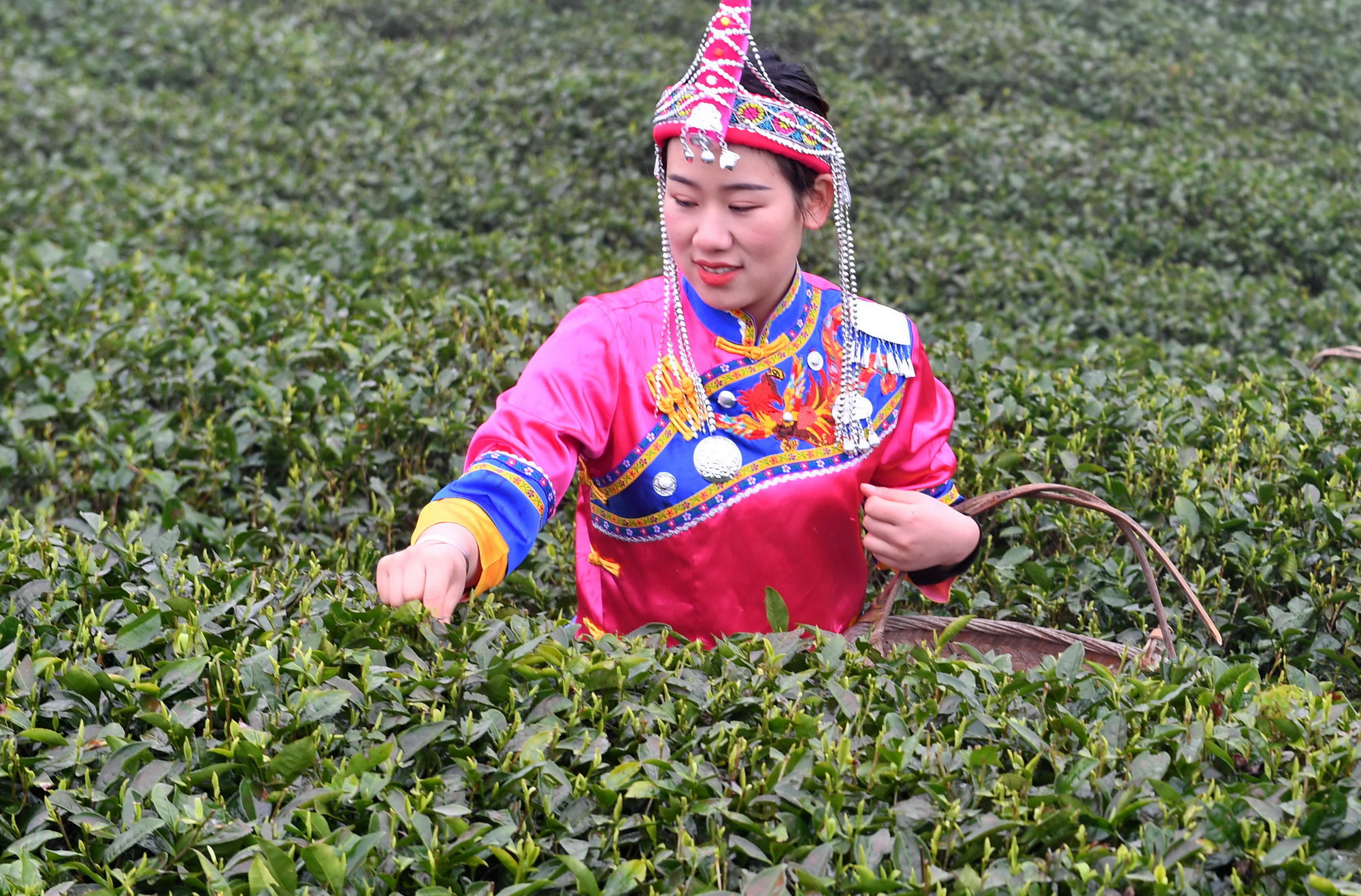 宁德科特派“点石成金”：念好特色经 走好产业道