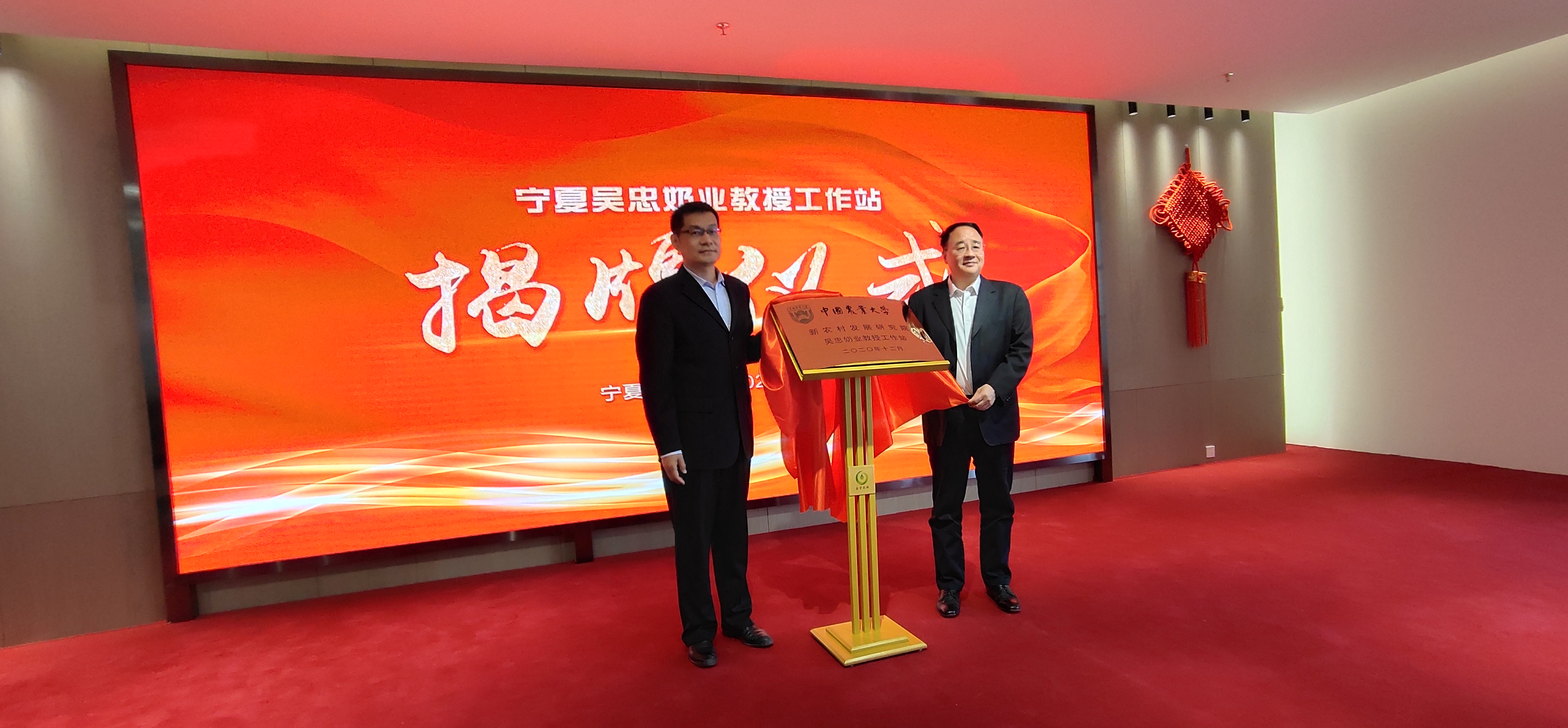 瞄准奶产业，中国农大教授来宁夏搞“移植”