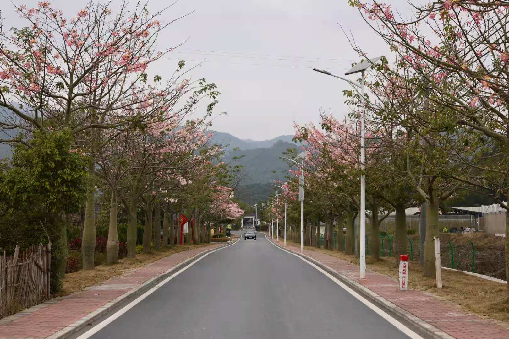 广东省定贫困村创建新农村示范村践行生态文明建设理念—— 解开“贫困村”变身“风景区”的“绿色密码”