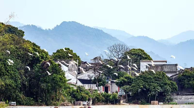 广东省定贫困村创建新农村示范村践行生态文明建设理念—— 解开“贫困村”变身“风景区”的“绿色密码”