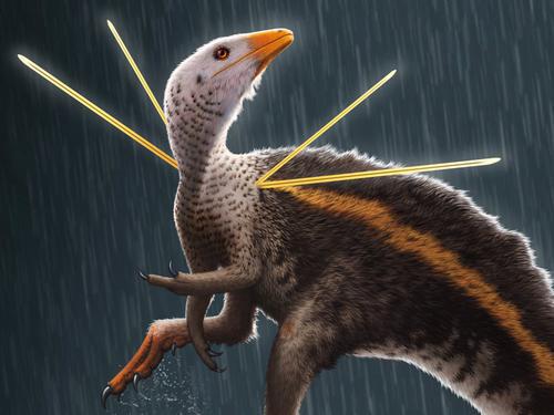 化石研究发现一只“霸屏”小恐龙