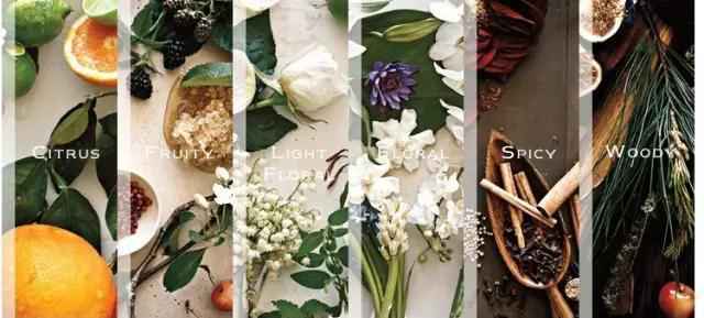 Jo Malone 祖马龙香水合集 | 小众高端,每个味道都让人魂牵梦萦