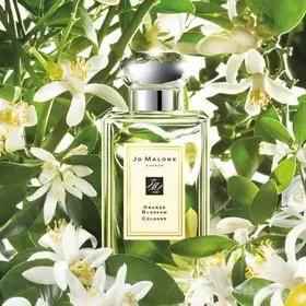 Jo Malone 祖马龙香水合集 | 小众高端,每个味道都让人魂牵梦萦