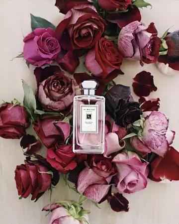 Jo Malone 祖马龙香水合集 | 小众高端,每个味道都让人魂牵梦萦