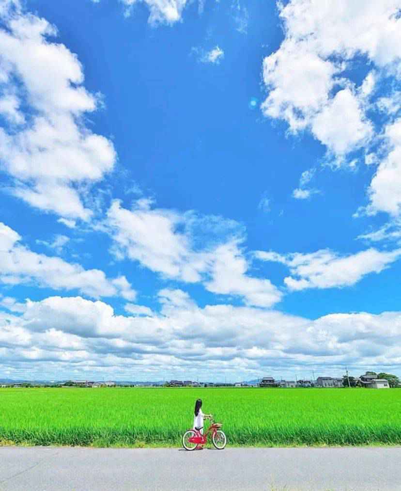 日本爸爸把女儿拍成宫崎骏动画,治愈无数人,每天上万人催他晒娃!