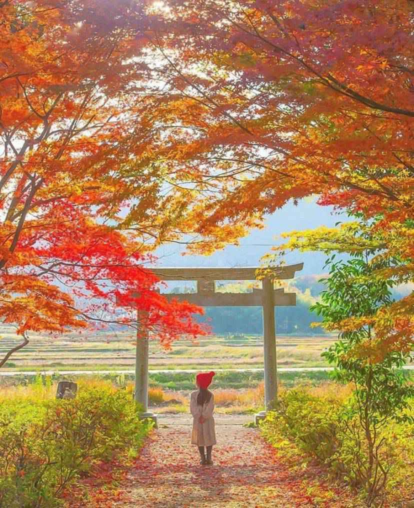 日本爸爸把女儿拍成宫崎骏动画,治愈无数人,每天上万人催他晒娃!