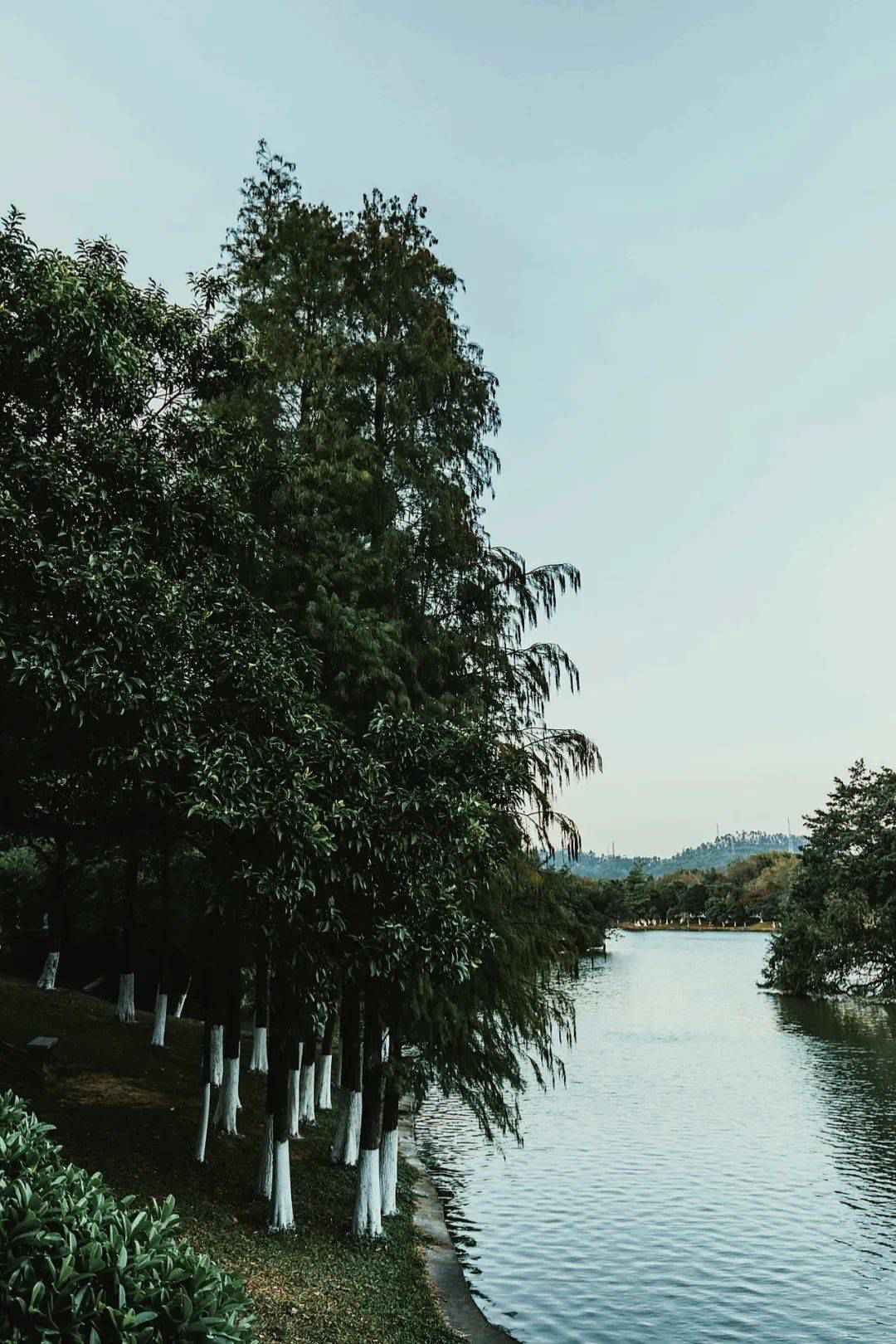广州的秋天实在太美啦!这几个地方就像闯进了童话世界~