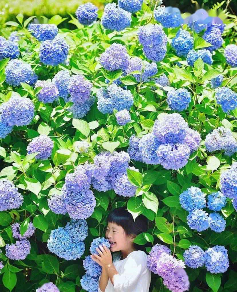 日本爸爸把女儿拍成宫崎骏动画,治愈无数人,每天上万人催他晒娃!