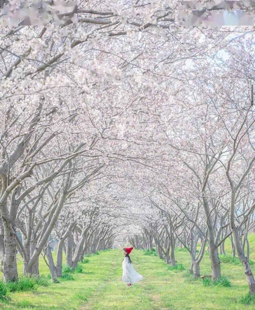 日本爸爸把女儿拍成宫崎骏动画,治愈无数人,每天上万人催他晒娃!