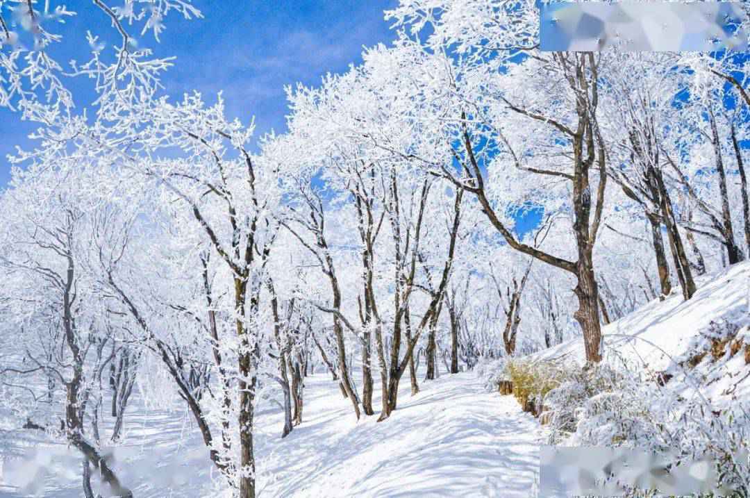 无滑雪不冬天!伏牛山滑雪度假乐园掀起中原滑雪运动热潮!