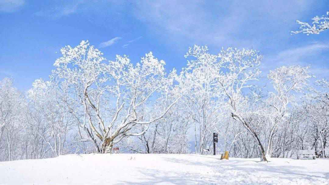 无滑雪不冬天!伏牛山滑雪度假乐园掀起中原滑雪运动热潮!