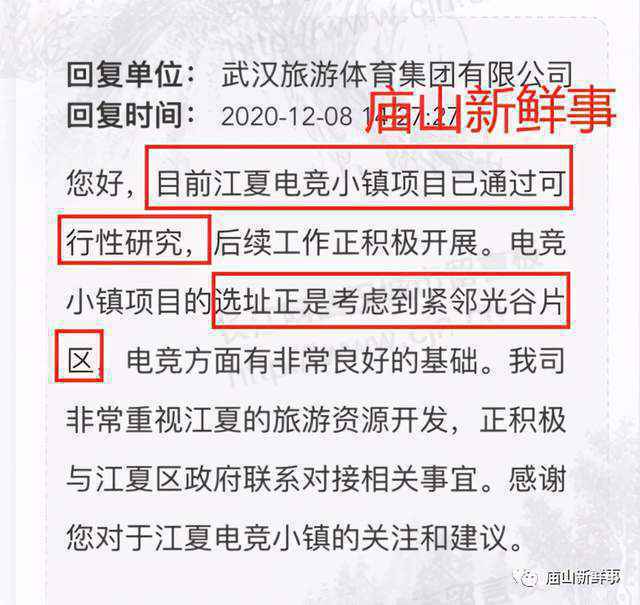 江夏电竞小镇新进展!项目已通过可行性研究!