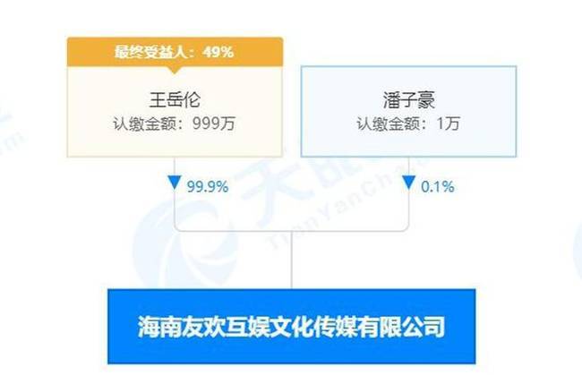 王岳伦工作室被横店影视起诉怎么回事 被判还宣发费250万