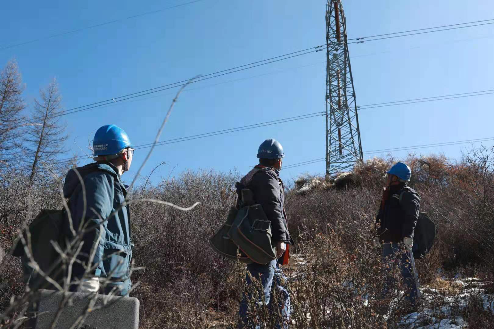 高原巡线路：越过荆棘 踏冰前行