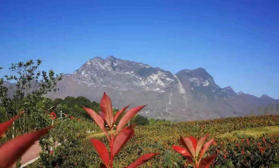 【行走半坡·寻觅乡愁系列报道②】老王山:遥望是别样的乡愁
