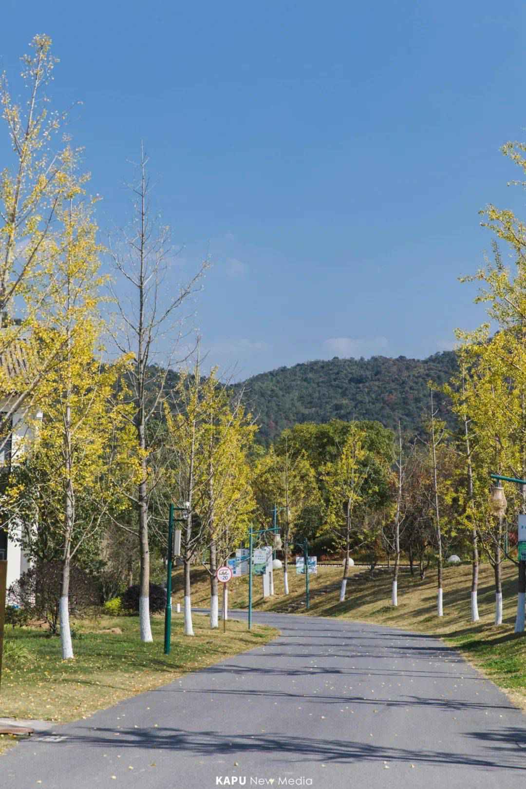 探险届顶流!骑马射箭、露营烧烤、百人团建决胜基地!市集来袭,邀你开年狂嗨3天!