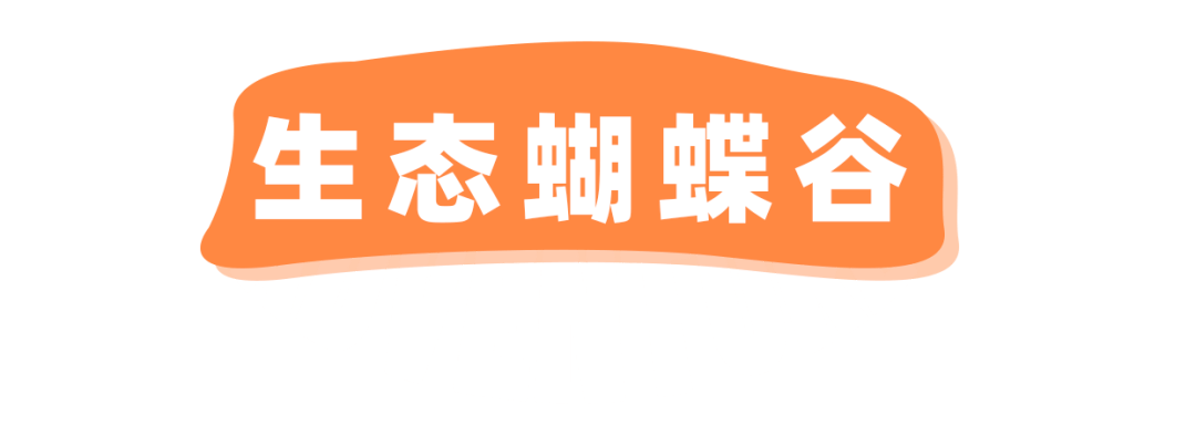 探险届顶流!骑马射箭、露营烧烤、百人团建决胜基地!市集来袭,邀你开年狂嗨3天!