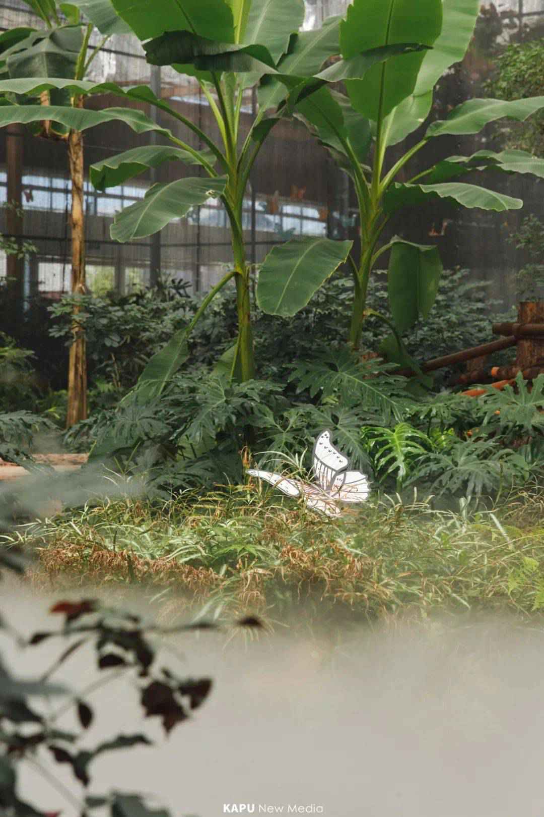 探险届顶流!骑马射箭、露营烧烤、百人团建决胜基地!市集来袭,邀你开年狂嗨3天!
