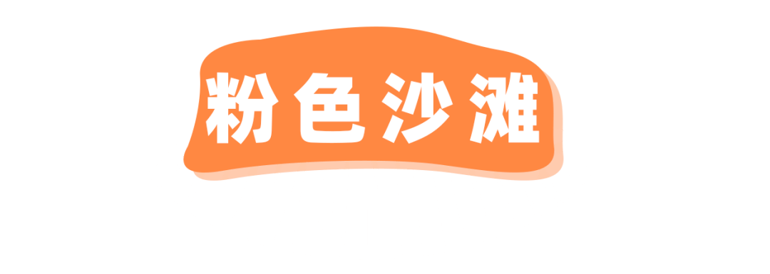 探险届顶流!骑马射箭、露营烧烤、百人团建决胜基地!市集来袭,邀你开年狂嗨3天!