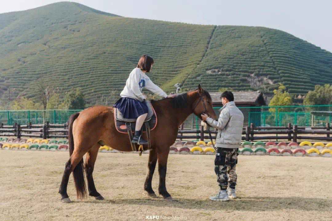 探险届顶流!骑马射箭、露营烧烤、百人团建决胜基地!市集来袭,邀你开年狂嗨3天!