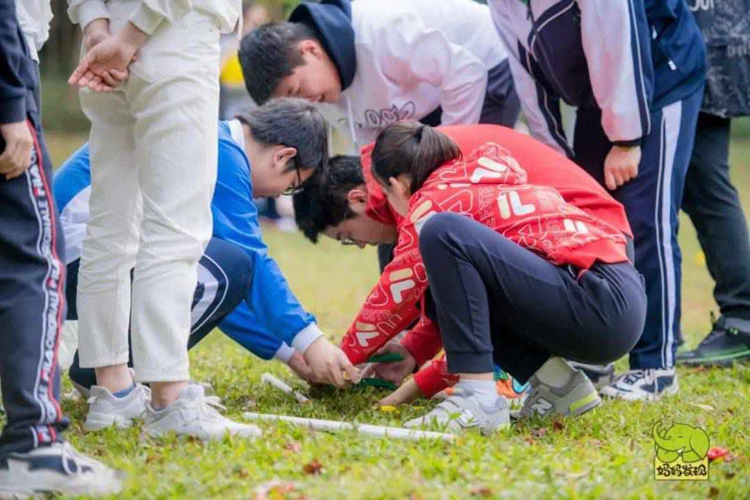 元旦 | 星空小镇庆新年:千亩榄园、亿颗星星,享美好亲子时光!