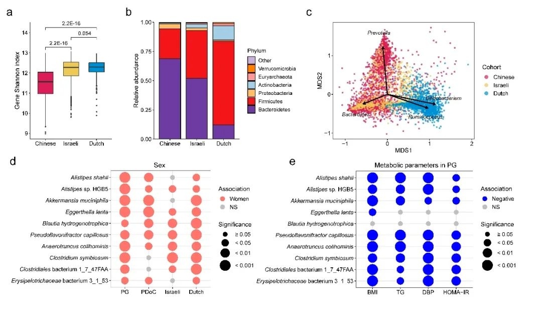 科学家通过大规模、多种族人群研究揭示肠道菌群的性别、年龄特征