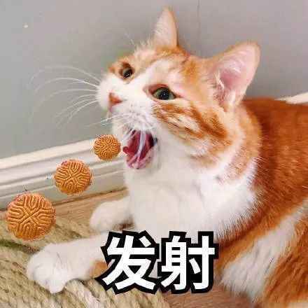 月饼盒包,全家桶包…还有什么奇葩包包敢挑战时尚审美?