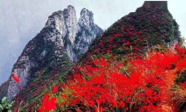 据说这是三峡大坝还没建成时的罕见照片,简直是人间仙境!