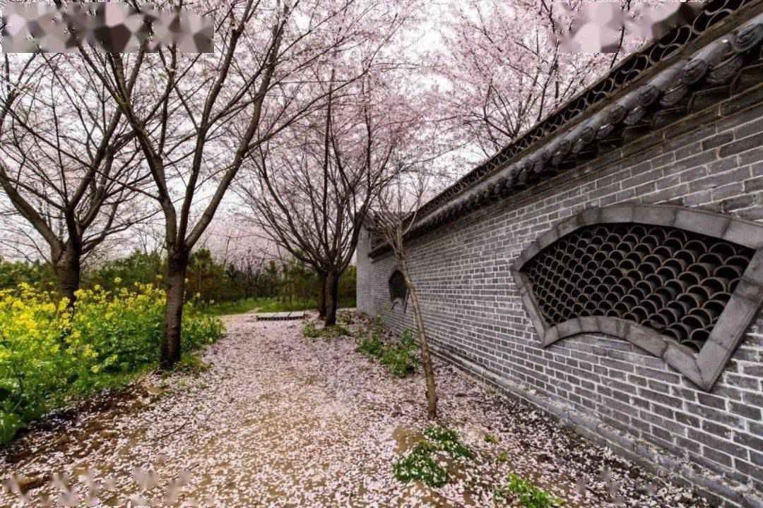 【“魏”资讯】喜讯!鄢陵唐韵生态旅游区荣膺国家4A级旅游景区