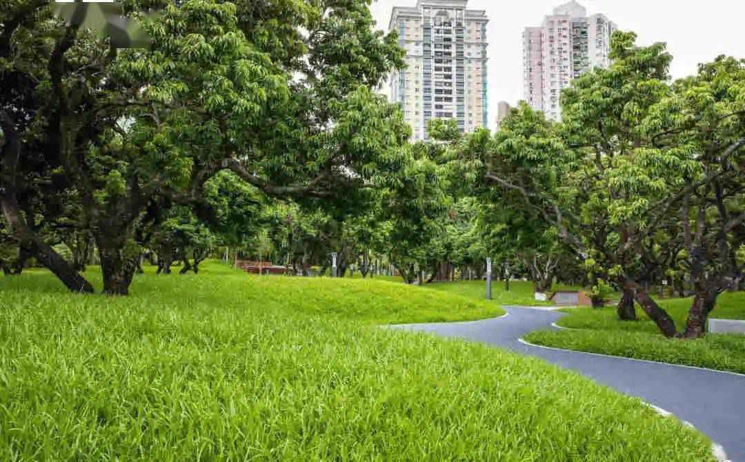 假期溜娃,深圳这些新开的公园,每一个都美炸天!