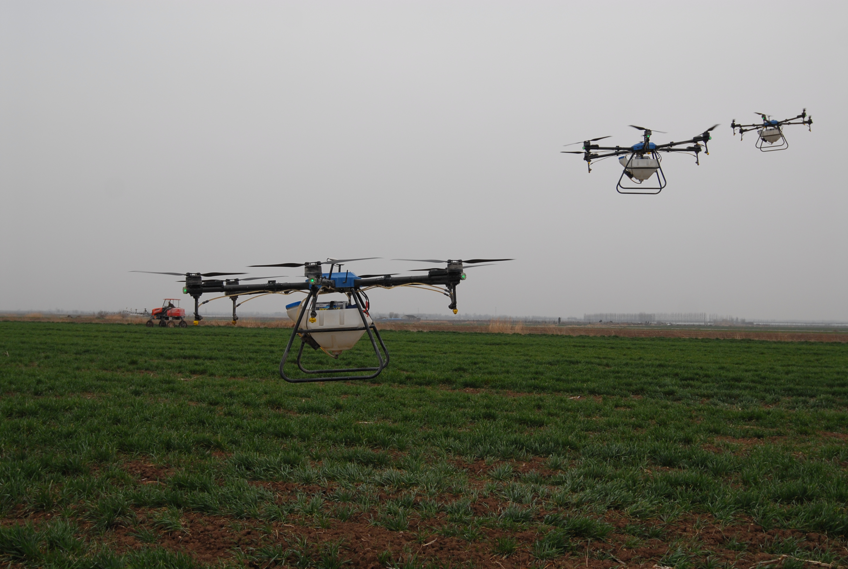 青岛即墨：智能植保无人机助力小麦“一喷三防”作业