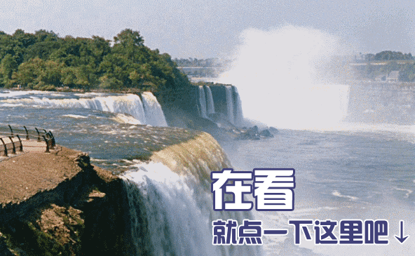 @留沪过年的普陀创业者,春节假期的节目单来了!