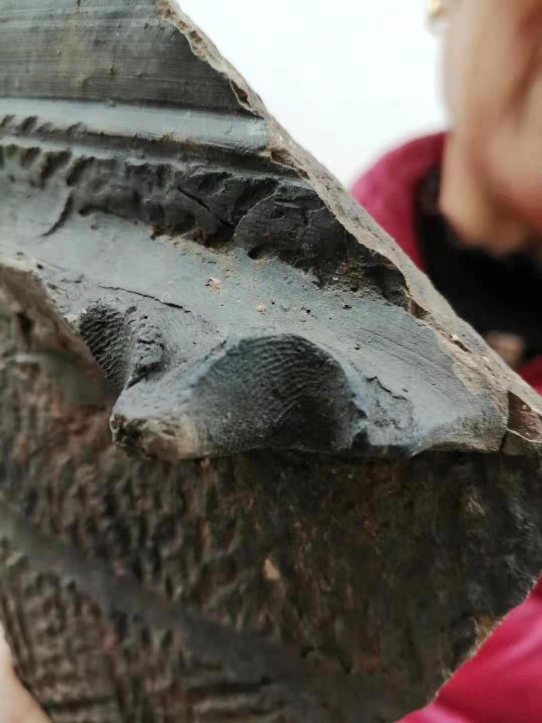 二里头遗址发现古人指纹，是否有考古价值？