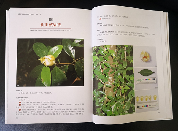 《中国迁地栽培植物志·山茶科》出版