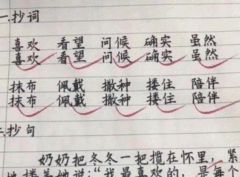 16岁孩子写出印刷体、700万点赞，父母却哭：孩子有病